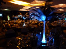 feathers heathrow renaissance illuminated